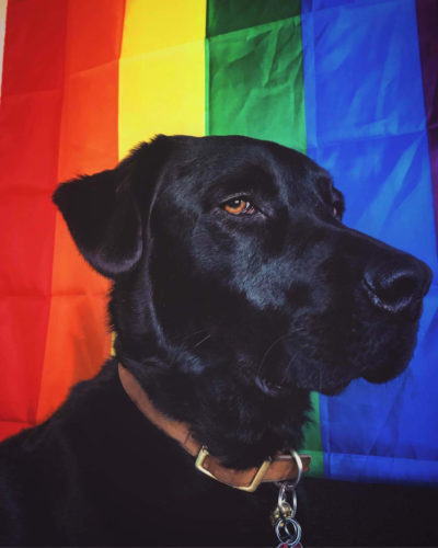 Fly Breeze 3x5 Foot Rainbow Gay Pride Flag photo review