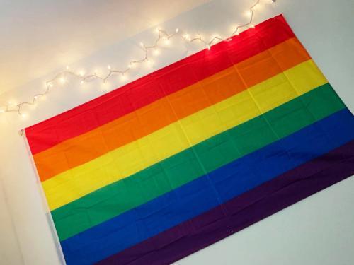 Fly Breeze 3x5 Foot Rainbow Gay Pride Flag photo review