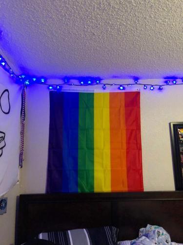 Fly Breeze 3x5 Foot Rainbow Gay Pride Flag photo review