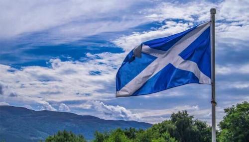 Fly Breeze 3x5 Foot Scotland Flag photo review