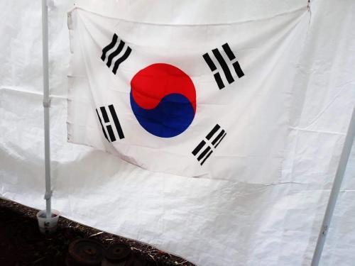 Fly Breeze South Korea Flag 3x5 Foot photo review