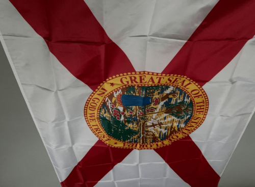 Fly Breeze 3x5 Foot Florida State Flag photo review