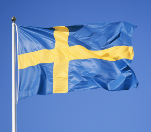 Fly Breeze Sweden Flag 3x5 Foot photo review