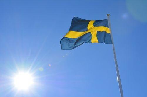 Fly Breeze 3x5 Foot Sweden Flag photo review