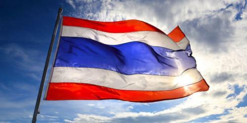 Fly Breeze 3x5 Foot Thailand Flag photo review