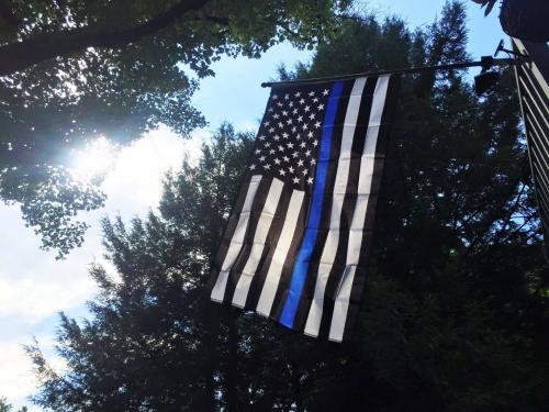 Fly Breeze 3x5 foot Thin Blue Line USA Flag photo review