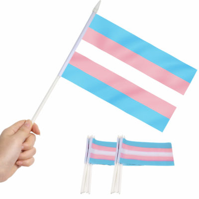 Transgender Stick Flags 5x8 Inch (Pack of 12)