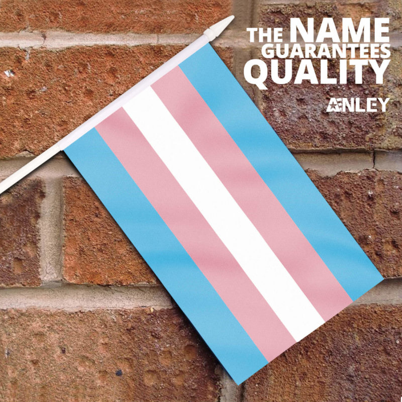 Transgender Stick Flags 5x8 Inch (Pack of 12) - Image 2