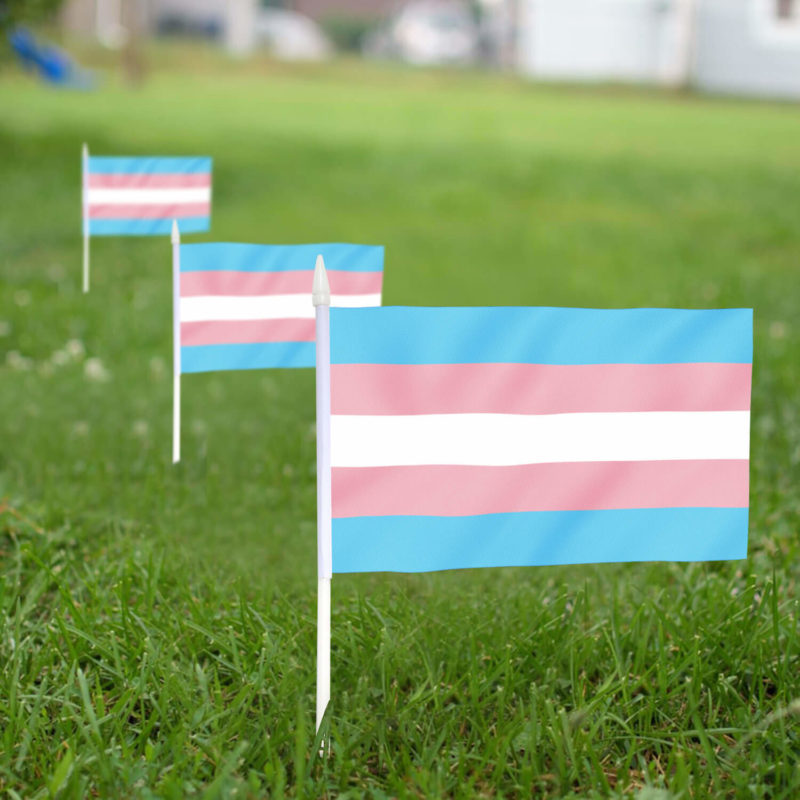 Transgender Stick Flags 5x8 Inch (Pack of 12) - Image 3