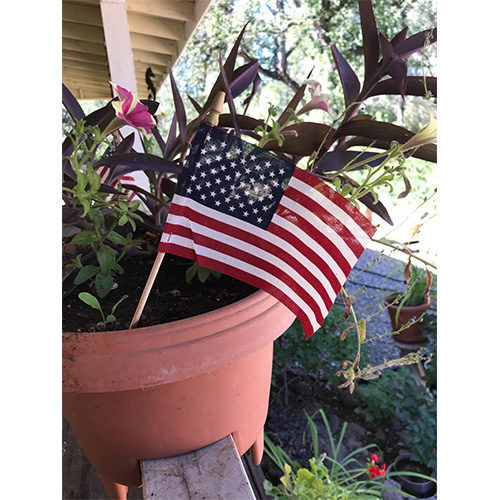 American USA Wooden Stick Flag 4 x 6 Inch (Pack of 12/50/100) photo review