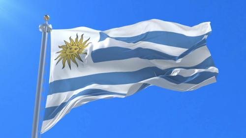 Fly Breeze Uruguay Flag 3x5 Foot photo review