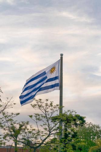Fly Breeze Uruguay Flag 3x5 Foot photo review