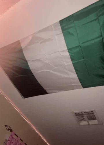 Fly Breeze 3x5 Foot Nigeria Flag photo review