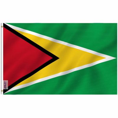 Guyana Flag