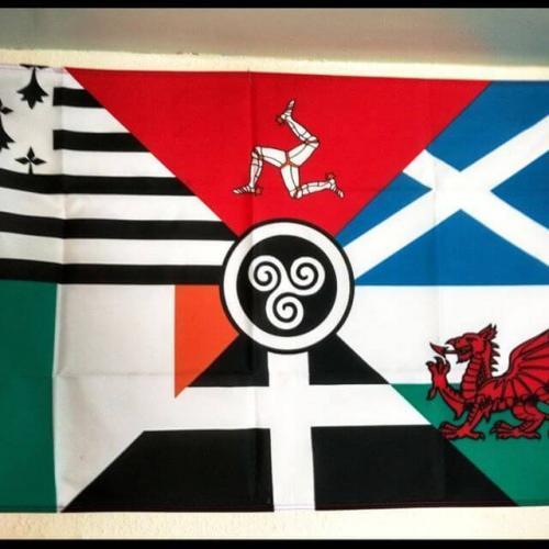 Fly Breeze Celtic Flag 3x5 Foot photo review