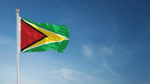 Fly Breeze Guyana Flag 3x5 Foot photo review