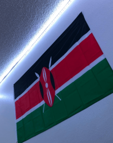 Fly Breeze 3x5 Foot Kenya Flag photo review