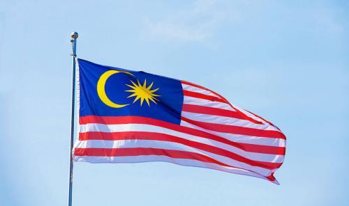 Fly Breeze 3x5 Foot Malaysia Flag photo review