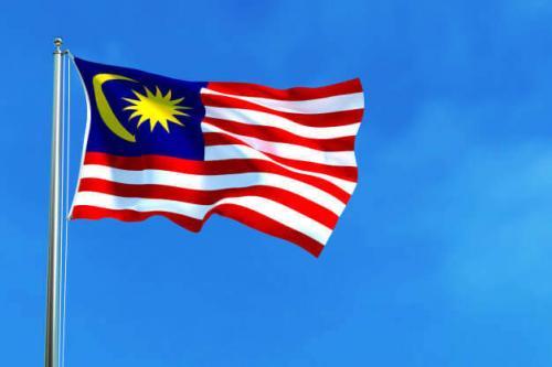 Fly Breeze 3x5 Foot Malaysia Flag photo review