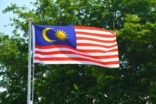 Fly Breeze 3x5 Foot Malaysia Flag photo review