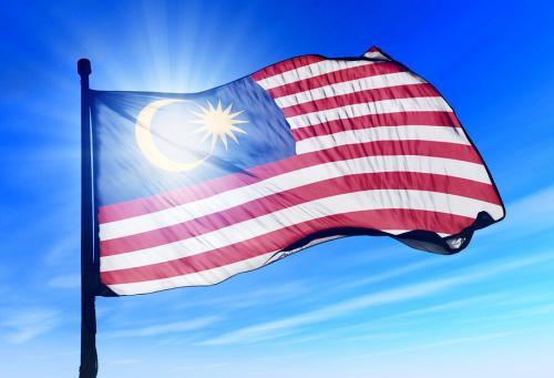 Fly Breeze 3x5 Foot Malaysia Flag photo review