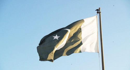 Fly Breeze 3x5 Foot Pakistan Flag photo review