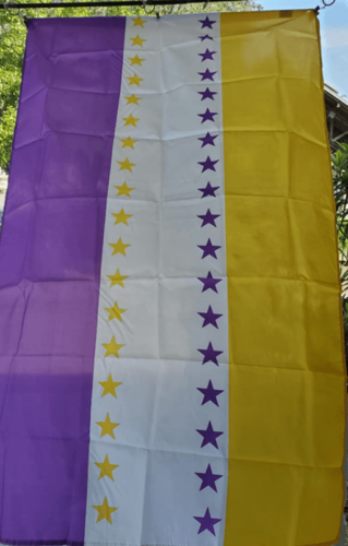 Fly Breeze 3x5 Foot 19th Amendment Victory Flag photo review