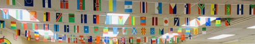 200 Random Countries 184 Feet String Flags (5.5x8 Inch) photo review