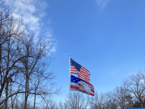 Fly Breeze 3x5 Foot US Bald Eagle Flag photo review