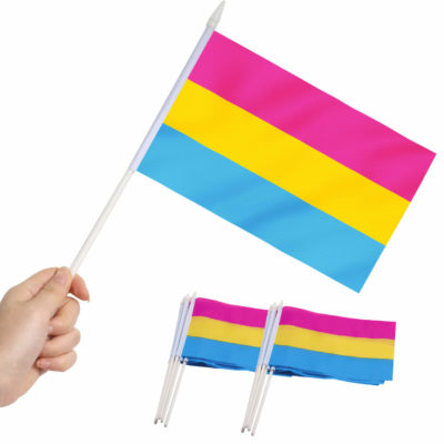 Pansexual Pride Stick Flags 5x8 Inch (Pack of 12)