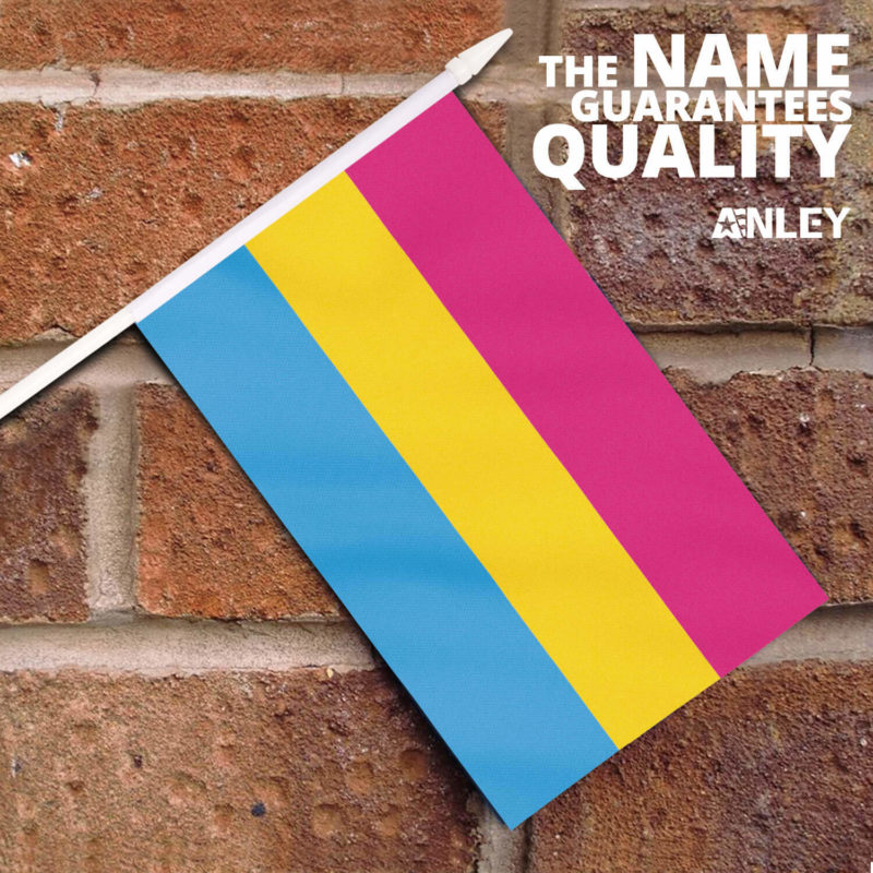 Pansexual Pride Stick Flags 5x8 Inch (Pack of 12) - Image 2