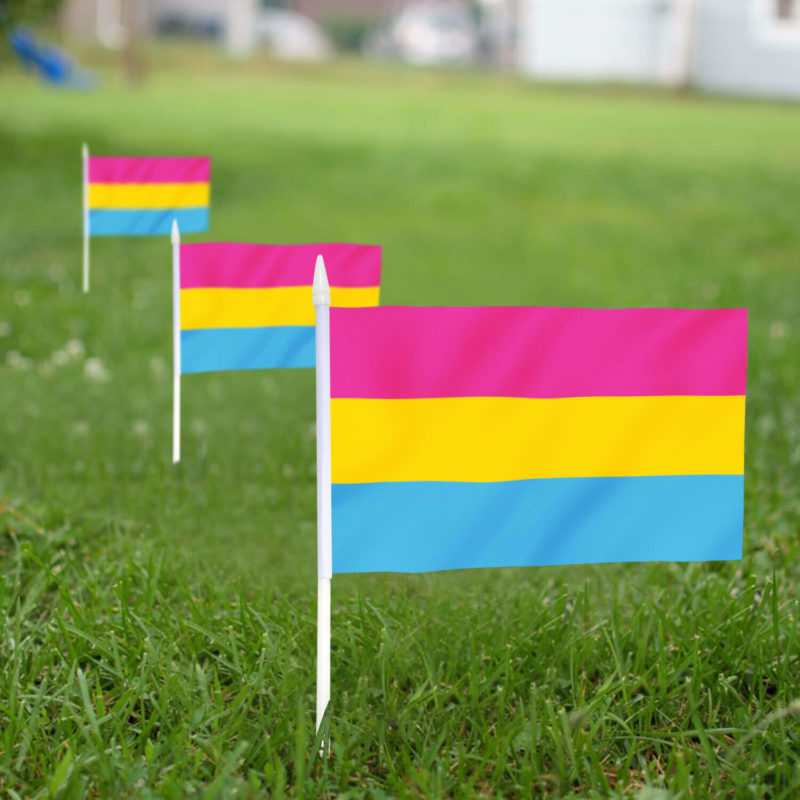 Pansexual Pride Stick Flags 5x8 Inch (Pack of 12) - Image 3
