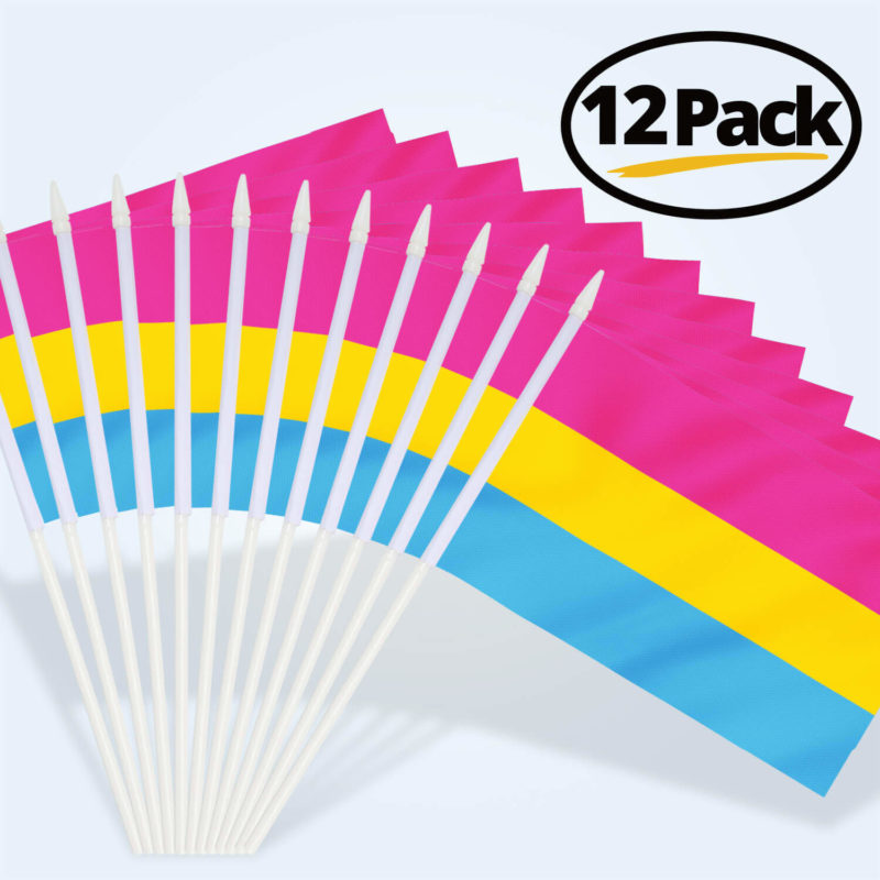 Pansexual Pride Stick Flags 5x8 Inch (Pack of 12) - Image 6