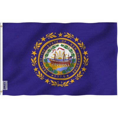 New Hampshire State Flag