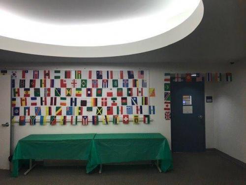 100 Random Countries 82 Feet String Flags (5.5x8 Inch) photo review