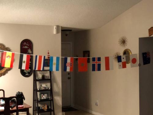 100 Random Countries 82 Feet String Flags (5.5x8 Inch) photo review