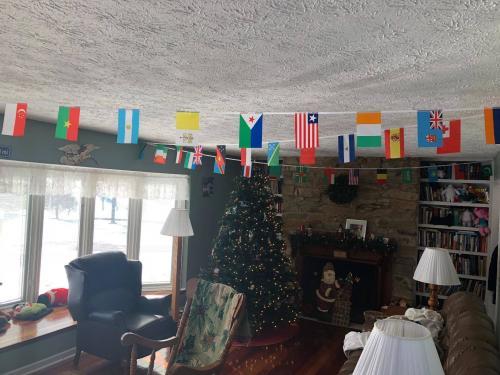 100 Random Countries 82 Feet String Flags (5.5x8 Inch) photo review