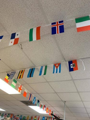 100 Random Countries 82 Feet String Flags (5.5x8 Inch) photo review