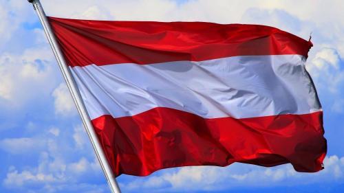 Fly Breeze Austria Flag 3x5 Foot photo review
