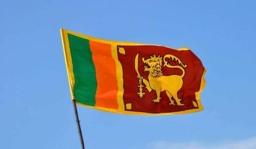 Fly Breeze 3x5 Foot Sri Lanka Flag photo review