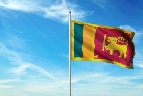 Fly Breeze Sri Lanka Flag 3x5 Foot photo review