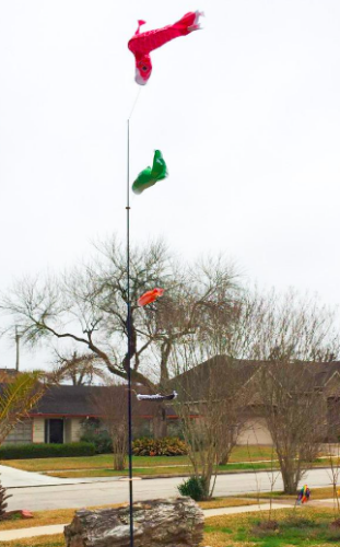 10Ft Telescopic Flagpole-Blue photo review