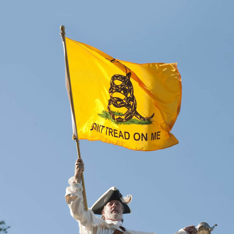 Details about   2x3 Don't Tread On Me Gadsden EMBROIDERED 2 double sided Flag FAST USA SHIPPING 