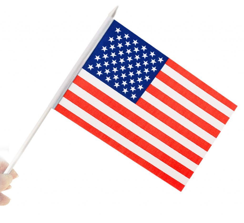 custom handheld stick flag plastic pole