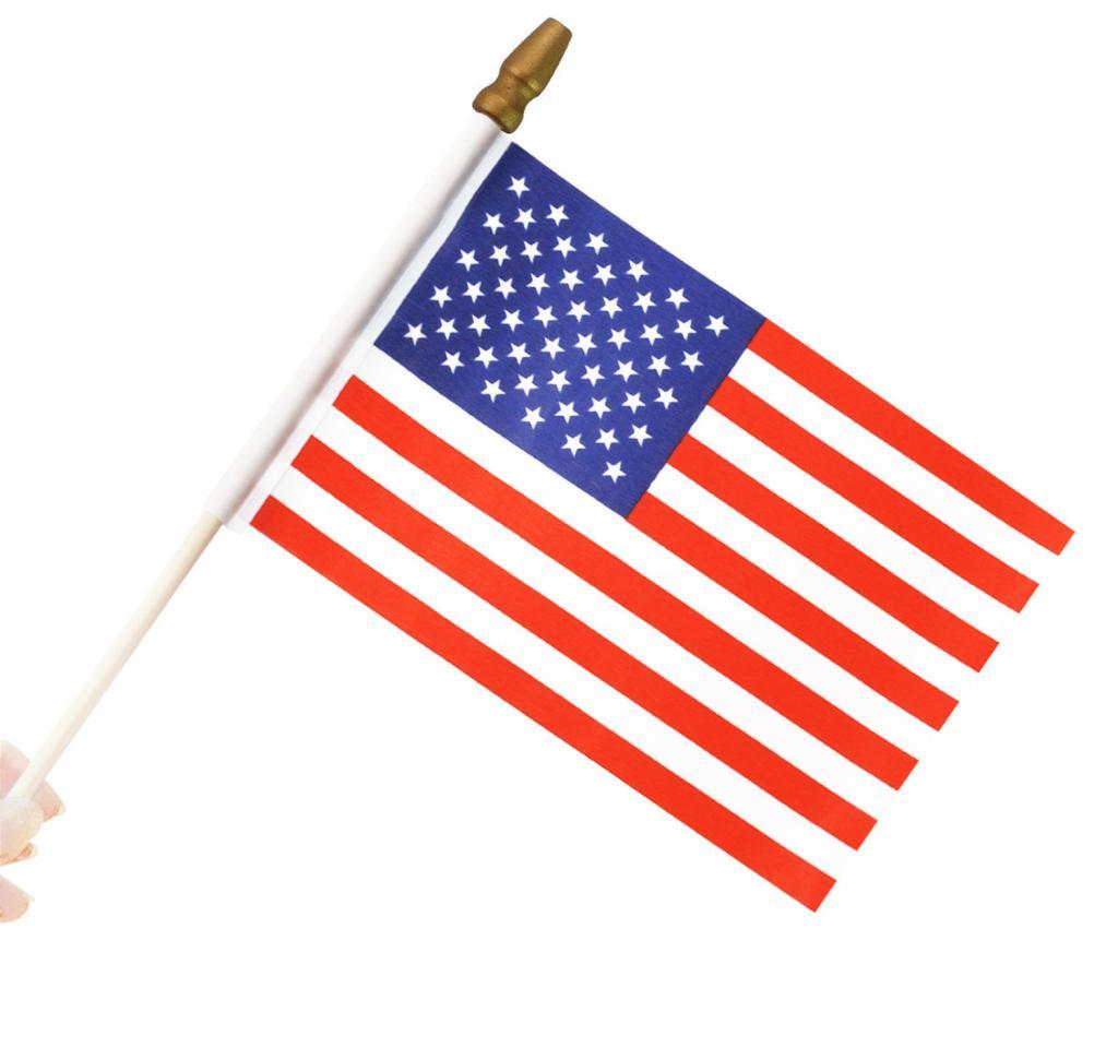 custom handheld stick flag wooden pole