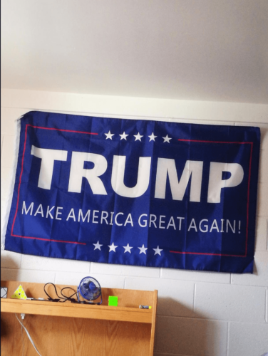 Fly Breeze 3x5 Foot Donald Trump Flags photo review