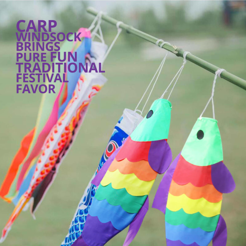 40 Inch Carp Windsock - Image 3