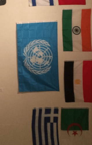 Fly Breeze 3x5 Foot United Nations Flags photo review