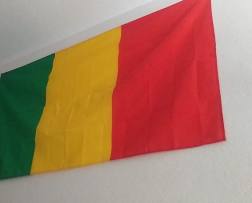 Fly Breeze 3x5 Foot Guinea Flag photo review
