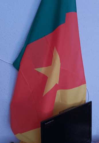 Fly Breeze 3x5 Foot Cameroun Flag photo review